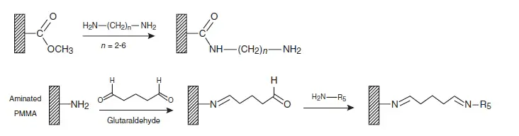 Amination on PMMA is shown via activation of a short bifunctional amine.