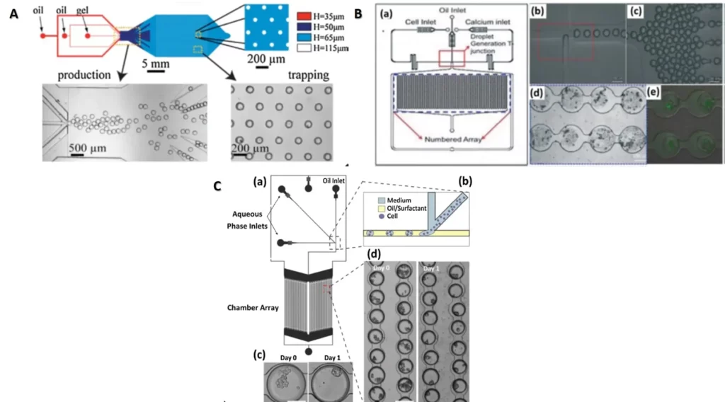 Schematic of a multiple design for cell-trapping in microfluidic