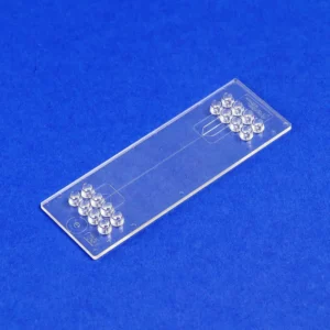 A microfluidic chip with mini Luer ports