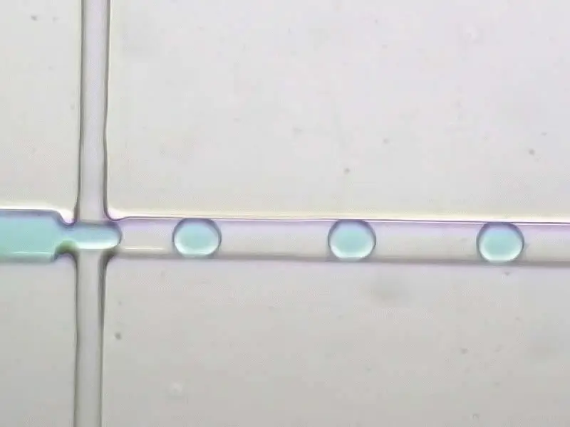 Gif if a close-up of the nozzle of a microfluidics device during droplet generation