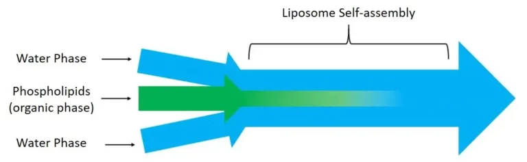 The flow focusing principle for the preparation of liposomes from organic and water solutions