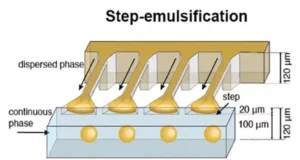 Schematic illustration of a step emulsification channel