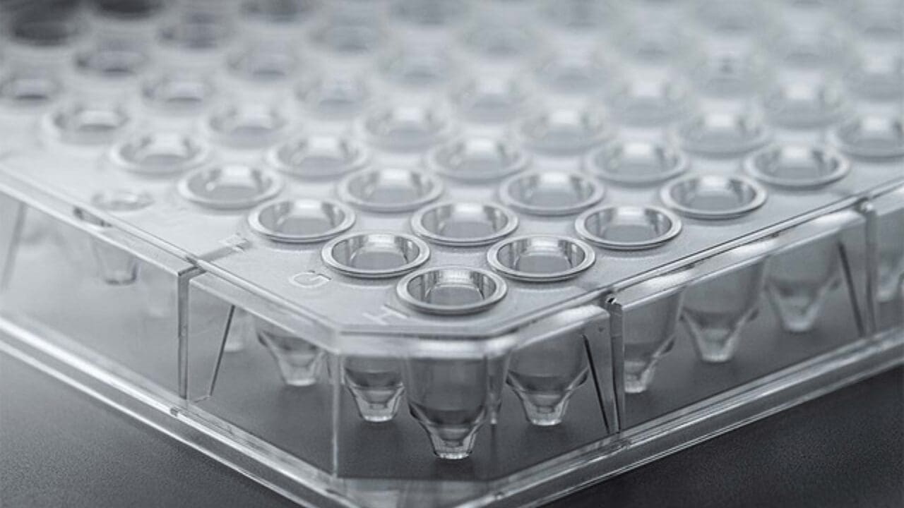 Explore our 3D cell culture products, allowing versatile applications and scalability