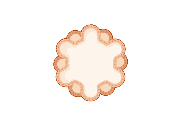 An illustration of a Pancreatic 3D Organoid with a white background.