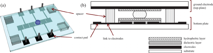 Pictorial representation of a digital microfluidic device