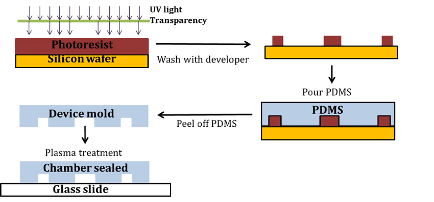 Schematic procedures of soft lithography to fabricate microfluidic chip