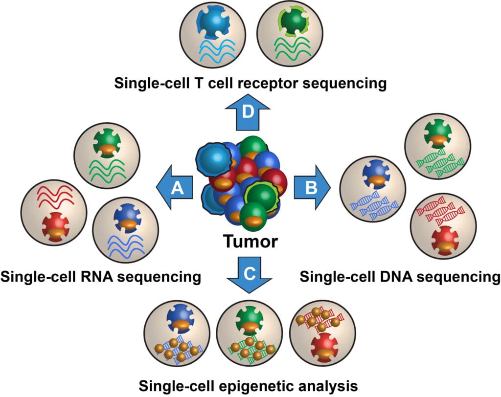 Single-cell technologies applied to study tumor heterogeneity.