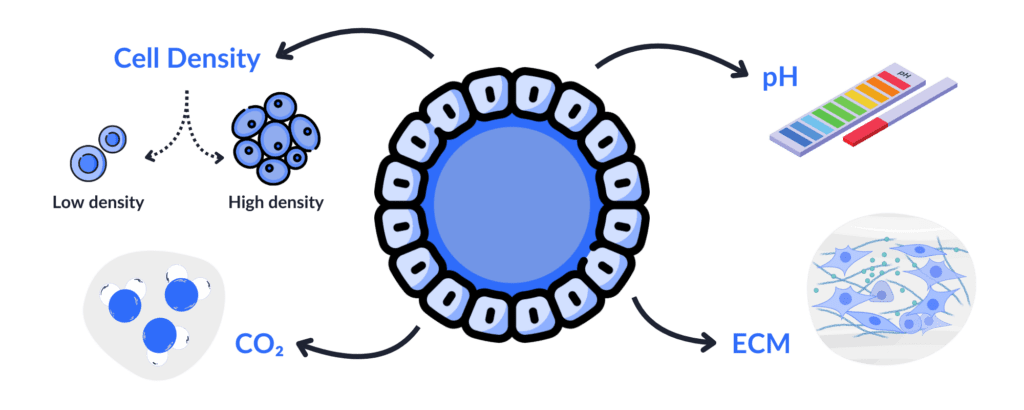 An illustration on factors affecting the formation of cellular spheroids Factors : Cell Density, pH, CO2, ECM