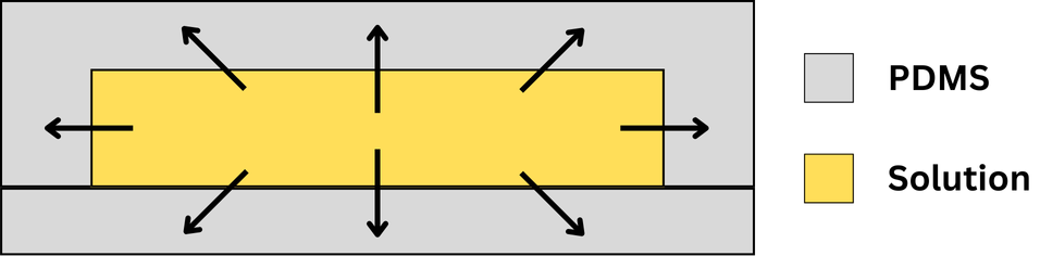 Absorption of PDMS microfluidic chips