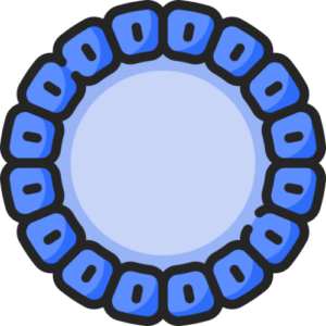 Basement Membrane Icon