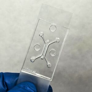 Microvascular and barrier chip