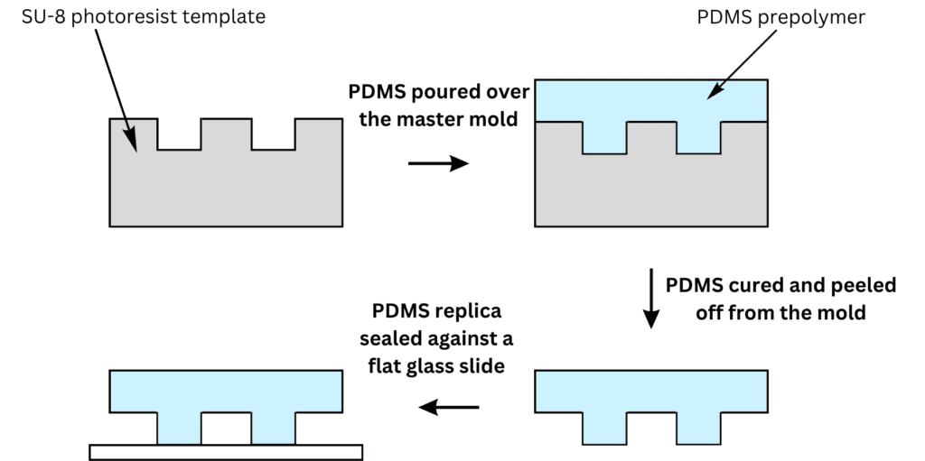 Schematic representation of PDMS replica molding.